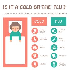 Is It a Cold or the Flu? - familydoctor.org Cold Bedroom, Okra Health Benefits, Disease Infographic, Throat Pain, Disease Symptoms, Cold Symptoms, High Fever, Common Cold, Get Healthy