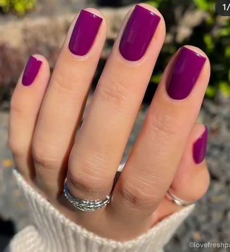 Nail Color Wedding Guest, May Color Nails, Best Colors For Short Nails, Feb Nails Colors, Grape Color Nails, Deep Magenta Nails, January Birthday Nails 2023, Dark Fuschia Nails, Mail Color Ideas