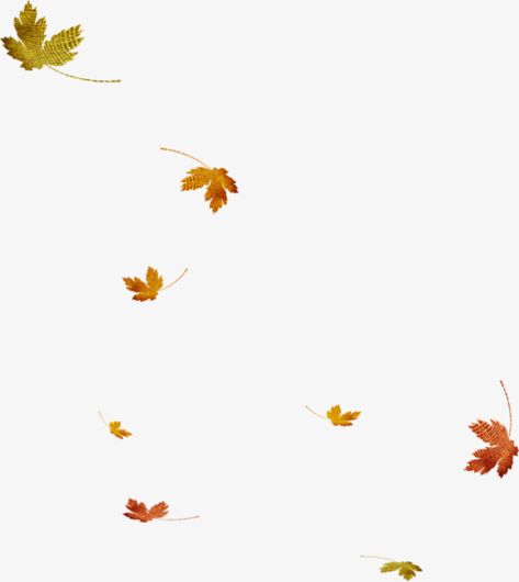 Maple Leaf Images, Fall Leaves Png, Fall Clip Art, Leaves Png, Image Stickers, Blood Art, Leaf Images, Cool Backgrounds Wallpapers, Baby Clip Art