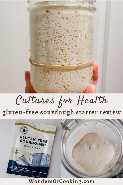 Gluten Free Sourdough Starter Guide - Cultures For Health Gluten Free Starter Recipes, Easy Gluten Free Sourdough Bread, Gluten Free Sourdough Starter, Gluten Free Sourdough Bread, Starter Cultures, Gluten Free Sourdough, Gluten Free Dairy Free Recipes, Our Daily Bread, Diet Foods