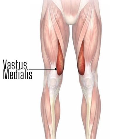 Vastus Medialis Exercises, Vmo Exercises, Vastus Medialis, Knee Strengthening, Knee Strength, Thigh Workouts, Quad Muscles, Middle Splits, How To Strengthen Knees