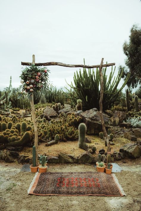 Cactus Ceremony Backdrop Wedding Cactus Decor, Cactus Centerpiece Wedding, Pioneertown Wedding, Cactus Wedding Decor, Western Backdrop, Boho Photoshoot, Disco Wedding, Cactus Wedding, Boda Mexicana