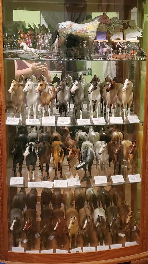 Schleich Horse Display, Model Horse Display Ideas, Breyer Horse Display, Willow Gifts, Horse Room Decor, Toy Horse Stable, Horse Room, Horse Animation, Horse Model