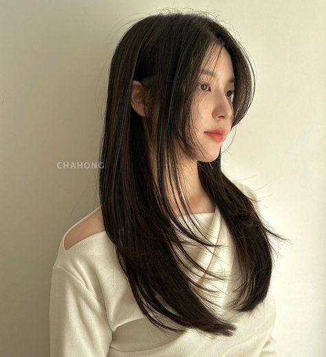 Korean Haircut Long Layered Hair Straight, Subtle Hair Layers, Hime Cut With Curtain Bangs, Asian Haircut Long Layers Straight Hair, Long Layers Asian Hair, Long Korean Haircut, Long Hair Korean Style Haircuts, Hime Layer Hairstyle, Asian Long Haircut