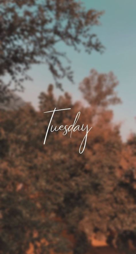 Tuesday Aesthetic, Fake Best Friends, Hello Wallpaper, Grid Wallpaper, Red Roses Wallpaper, Good Morning Post, Day Aesthetic, Instagram Graphics, Black Phone Wallpaper