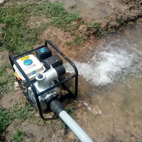 Water Pump for Irrigation Rice Farm Rice Farm, Leaf Blower, Water Pump, Water Pumps, Dyson Vacuum, Outdoor Power Equipment, Vacuum Cleaner, Home Appliances, Rice