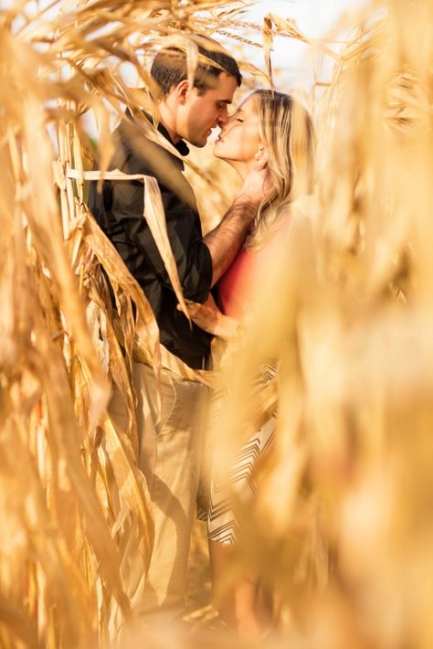 love this in a corn maze...fall engagements Corn Engagement Pictures, Corn Maze Wedding, Corn Maze Maternity Pictures, Corn Maze Poses, Corn Maze Engagement Photos, Corn Maze Family Photos, Cornfield Photoshoot Couples, Pumpkin Patch Engagement Photoshoot, Corn Maze Couple Pictures