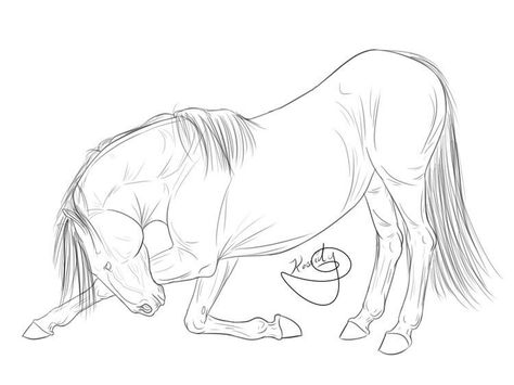 Horse Bowing, Horse Lineart, Horses Drawing, Horse Drawing Tutorial, Horse Pencil Drawing, Horse Outline, Horse Bow, Bow Drawing, Horse Art Drawing