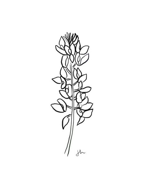 Bluebonnet Line Drawing, Blue Bonnet Drawing Simple, Blue Bonnet Tattoo Simple, Bluebonnet Drawing, Bluebonnet Tattoo, Montana Tattoo, Birthdate Tattoo, Medusa Tattoo Design, Texas Tattoos