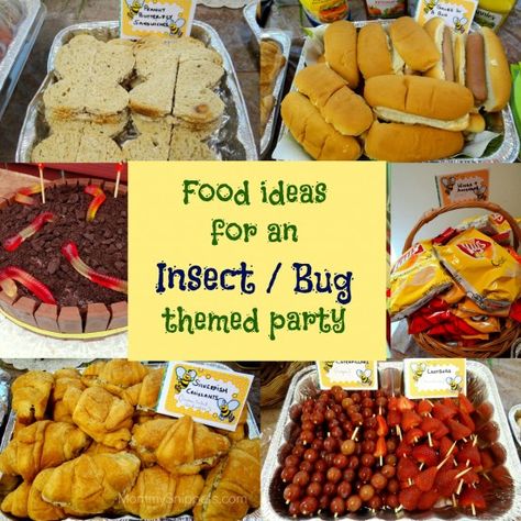 Looking for boy's party ideas? Check out these fun food ideas for an Insect or Bug themed party via Mommy Snippets. Bug Snack Ideas, Bug Party Food, Bird Theme Party, Bug Themed Party, Bird Theme Parties, Bug Food, Bug Snacks, Reptile Party, Bug Party