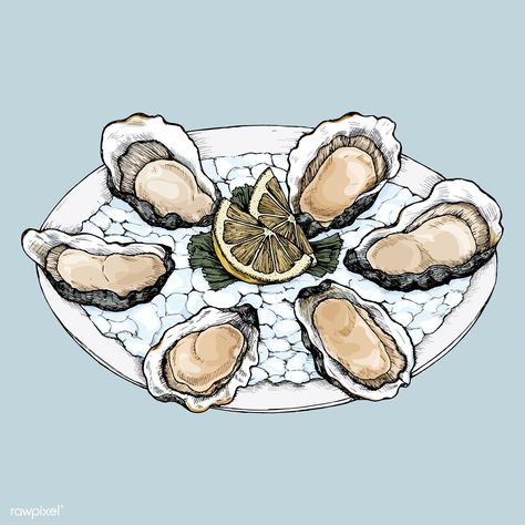 Hand drawn oyster salt-water bivalve platter | premium image by rawpixel.com Oyster Roast, Food Doodles, Seafood Platter, Hand Images, Free Vector Illustration, Oyster Plates, Hand Pictures, Illustration Food, Food Drawing