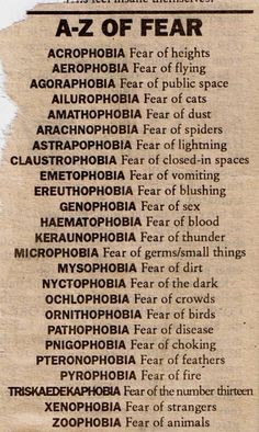 You know what the fear is. The fear doesn't know who you are. You are more than your fears. I fear CATS. Phobia Words, What About Bob, Biology Facts, Number 13, Weird Words, Rare Words, English Writing Skills, General Knowledge Facts, Different Languages