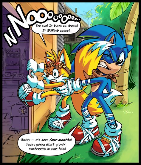 It Burns Us, Sonic! by ZoomSwish on DeviantArt Archie Sonic, Sonic And Tails, Ayyy Lmao, Hedgehog Movie, Sonic Funny, Sonic Franchise, Sonic 3, Sonic Adventure, Hedgehog Art