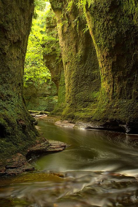 Scotland Aesthetic, Loch Lomond Scotland, Scotland Landscape, Best Travel Destinations, Long Term Travel, Loch Lomond, Visit Scotland, Scottish Landscape, Inverness