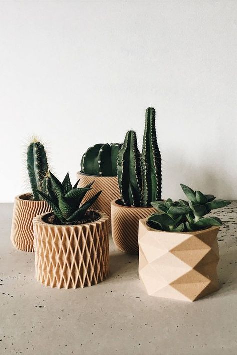 Diy Planters Indoor, Kaktus Dan Sukulen, نباتات منزلية, Planter Gift, Succulents Indoor, Room Deco, Succulent Terrarium, Wooden Planters, Cactus Y Suculentas