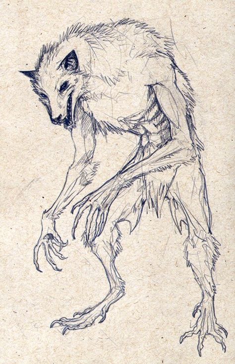 Monster Anatomy Sketch, How To Draw Werewolves, Werewolf Drawing Sketches, Wendigo Werewolf, Wendigo Reference, Scary Creatures Drawings, Scary Animal Drawings, Monster Sketch Dark, Mythological Creatures Drawings