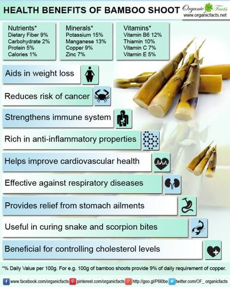 bambooshootsinfo Bamboo Benefits, Integrated Farming, Nutrition Knowledge, Giant Bamboo, Bamboo Shoot, Bamboo Shoots, Super Foods, Eat Clean, Healing Herbs