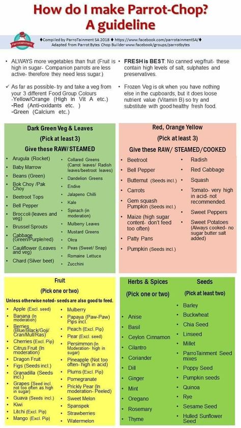 Food For Conures, Parrot Perches Diy Ideas, Parrot Enrichment Ideas, Chop Recipes For Parrots, Parrot Chop, Budgie Food, Cockatiel Care, Homemade Bird Toys, Diy Parrot Toys