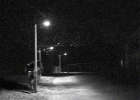 1961 Werewolf Dogman Picture? Okay, sometimes being in the cryptozoology field presents us with bizarre photographs and stories, like this next one. The above picture is said to be from 1961 and it is said to be of a real werewolf standing under a street lamp. It also has a decent back story but I'm not sold on the picture be authentic. Lets look at it some more. Real Werewolf, Michigan Dogman, Dogman Encounters, Ancient Mysteries, Urban Legends, Mystical Creatures, Weird World, Animal Planet, Mythical Creatures