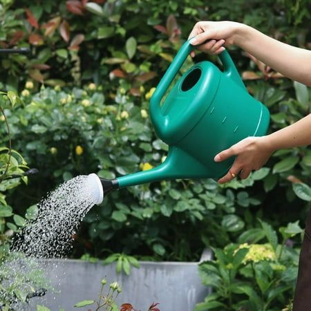 Garden Watering Cans Style On A Budget | Home Decor
watering pot, aerosol, atomiser, atomizer, douche, enema, nozzle, shower,
sparge, spray, sprayer, sprinkler, syringe, watering can
clyster,  nebuliser, nose, rain shower, schnoz, schnozzle, shower bath, Indoor House Garden, Plant Watering Can, Plastic Watering Can, Small Watering Can, Indoor Watering Can, Garden Sprinklers, Metal Watering Can, Indoor Bonsai, Watering Cans