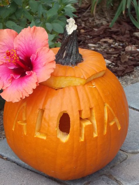 Aloha Hawaii Pumpkin Jack-O-Lantern! For a Halloween with Aloha! Hawaiian Thanksgiving Decorations, Spooky Luau, Haunted Luau, Halloween Luau, Hawaii Halloween, Hawaiian Halloween, Pumpkin Competition, Tropical Halloween, Hula Costume