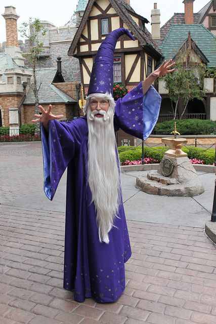 Merlin! Wizard Diy Costume, Magical Halloween Costumes, Merlin Costumes Diy, Myths And Legends Costumes, Wizard Costume Diy, Diy Wizard Costume, Wizard Costume Women, Merlin Costume, Men’s Wizard Costume