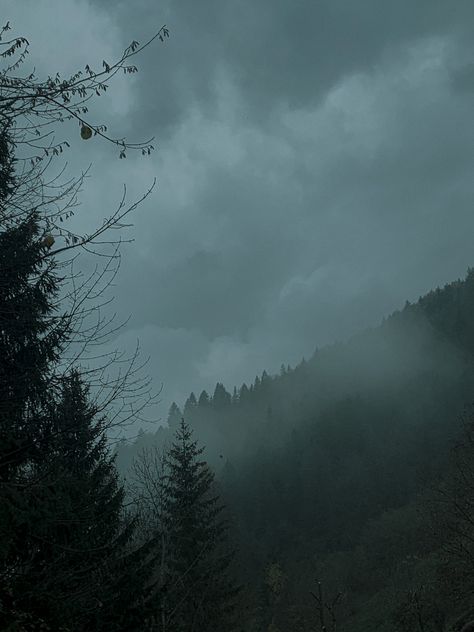 Foggy Meadow Aesthetic, Forks Forest, Lord Of The Rings Oc, Foggy Forest Wallpaper, Dark Rainy Day, Foggy Aesthetic, Forks Twilight, Mall Aesthetic, Lykoi Cat