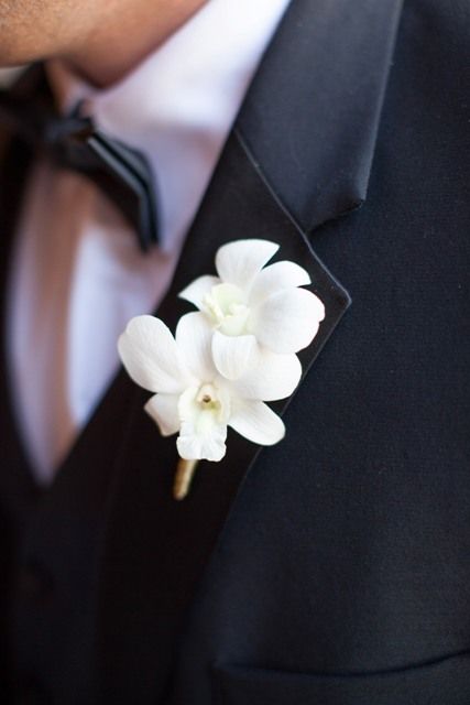 White Dendrobium Orchid Boutonniere White Dendrobium Orchids, Orchid Boutonniere, White Boutonniere, Groomsmen Boutonniere, Dendrobium Orchids, Wedding Photography Bride, Prom Flowers, White Wedding Bouquets, Boutonniere Wedding