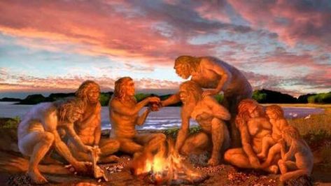 Human Evolution Tree, Peking Man, Life Science Classroom, Human Fossils, Prehistoric Man, Kids Book Series, Human Evolution, Early Humans, Ancient Origins