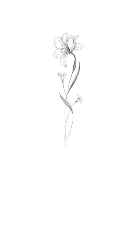 Fine Line Morning Glory Flower Tattoo, Morning Glory Tattoo Line Art, Single Line Morning Glory Tattoo, Fine Line Morning Glory Tattoo, Morning Glory Fine Line Tattoo, Morning Glory Tattoo Design, Glory Tattoo, Morning Glory Tattoo, Morning Glory