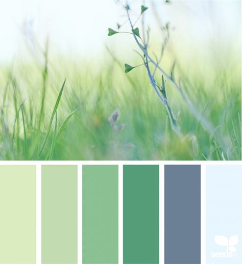 Design Seeds Color Palette, Seeds Color Palette, Design Seed, Seeds Color, Color Palette Challenge, Color Pallete, Hue Color, Color Schemes Colour Palettes, Sea Design