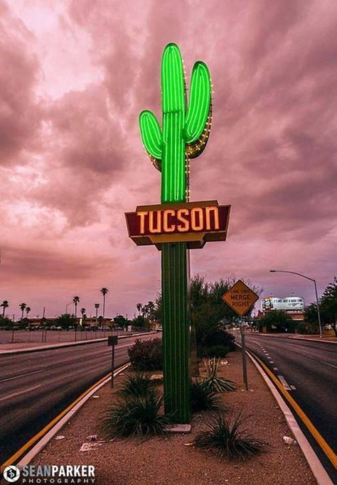 Tucson Arizona Aesthetic, Refurbished Phones, Local Marketing, Vintage Neon Signs, Self Growth, Desert Dream, Desert Life, Arizona Travel, Sonoran Desert