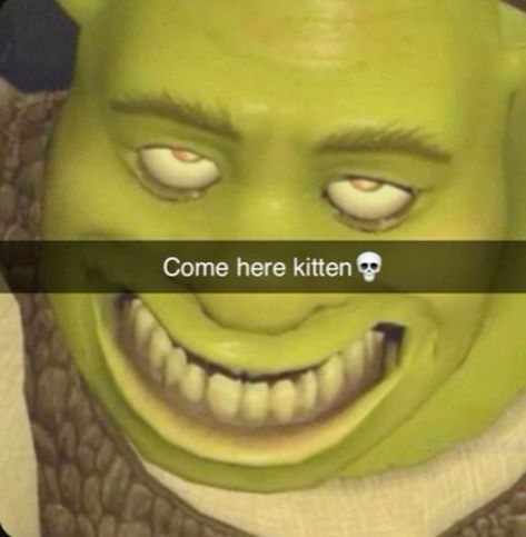 Sus Pictures, Sus Things, Sus Stuff, Shrek Funny, Weird Humor, Funny Pix, Vines Funny Videos, Crazy Funny Pictures, Come Here