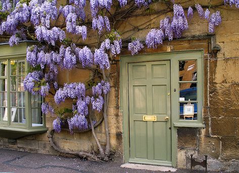 Wisteria surrounding lovely sage door and windows Wisteria Sinensis, Best Front Door Colors, Best Front Doors, Modern Country Style, Painted Front Doors, Front Door Colors, Green Door, Doors And Windows, Entrance Decor