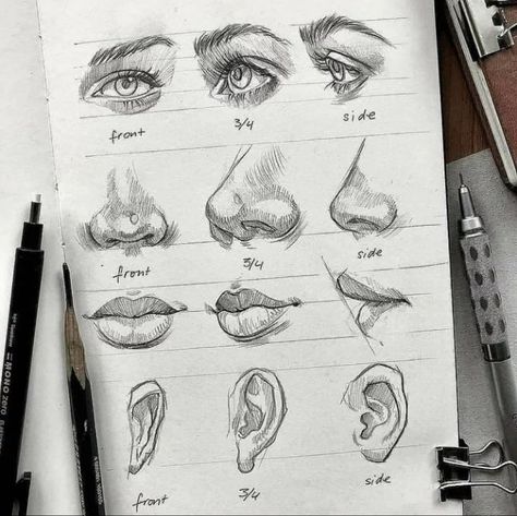 Sketch Nose, Sketch Images, Beginner Sketches, Sketches Doodles, Nose Drawing, Sketching Techniques, Human Drawing, Pencil Sketches, Easy Drawings Sketches