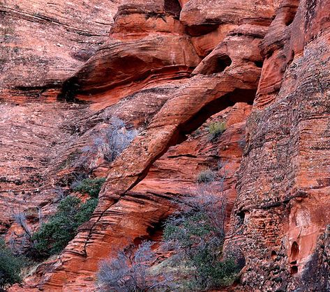 Desert Magic, Utah Parks, Snow Canyon State Park, Copper Canyon, School Information, Modern Style Homes, Master Planned Community, Traditional Architecture, Large Photos