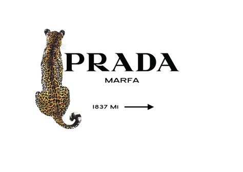 Prada style print with leopard feature wall art. Marfa Prada, Prada Poster, Cheetah Wallpaper, Leopard Print Background, Leopard Print Wallpaper, Cheetah Print Wallpaper, Prada Style, Wallpapers Ipad, Prada Marfa