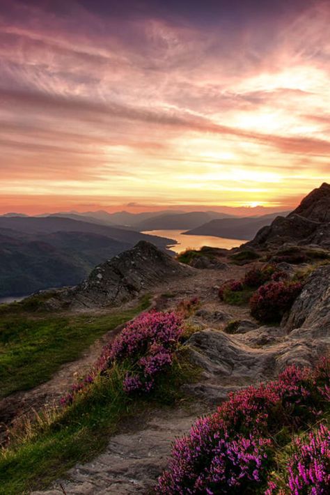 Scotland Nature Aesthetic, Rahne Sinclair, Scottish Folklore, Scotland Nature, Scotland Aesthetic, Scotland Vacation, Scotland Landscape, Purple Things, Scotland Forever