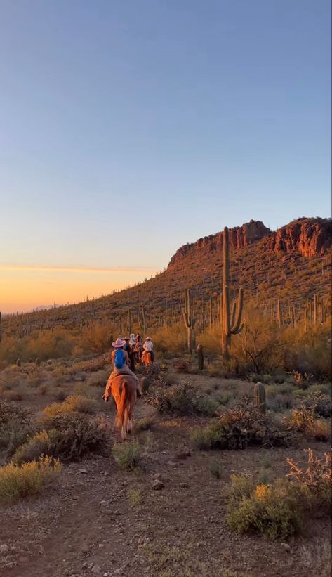 Lexi Hidalgo, Arizona Aesthetic, Desert Life, Arizona Travel, Beautiful Places On Earth, Lifestyle Inspiration, New Opportunities, Travel Aesthetic, New Life