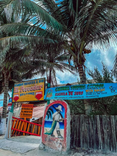 Picturesque in Mexcio! Cute restaurant right on the beach! #mexico #cozumel #travelblog Cozumel Mexico Pictures, Cozumel Mexico Cruise, Paradise Beach Cozumel, Cozumel Mexico Cruise Excursions, Cozumel Beach, Spring Break Cruise, Mayan History, Mexico Pictures, Allegro Cozumel Mexico