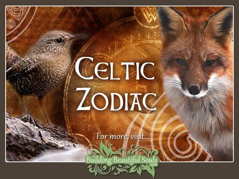 East Symbolism & Meaning - What Is My Spirit Animal | Spirit, Totem, & Power Animals Celtic Animal Zodiac, Celtic Witchcraft, Celtic Zodiac Signs, Celtic Witch, Celtic Zodiac, Celtic Animals, Animal Meanings, Zodiac Meanings, Animal Zodiac