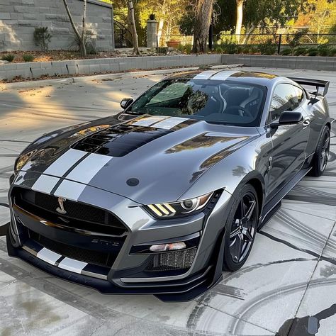 Shelby Gt500 Interior, Mustang Shelby Cobra, Mustang Gt500, Ford Mustang Car, Ford Mustang Shelby Gt500, Mustang Cobra, Street Racing Cars, Shelby Gt500, Ford Mustang Shelby