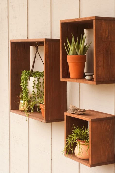 Easy to make and super affordable, these boxes give your pots and hanging planters a cohesive look and bring some life into any space. And they cost less than $3 each! Published in partnership with @homedepot Boxes Diy, Floating Plants, Hal Decor, Plant Box, Box Shelves, Wood Floating Shelves, Estantes Flotantes, Plant Shelves, Diy Shelves