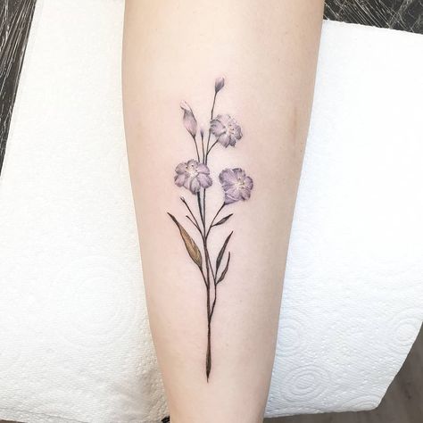 Thanks Naomi ✌🏻🌸 . . #primrose #primroses #botanical #botanicaltattoos #botanicaltattoo #floraltattoo #floraltattoos #primrosetattoo… Violet And Primrose Flower, Violet And Primrose Flower Tattoo, Primrose Flower Tattoo, Violet And Primrose, Primrose Tattoo, Violet Tattoo, Primrose Flower, February Birth Flowers, Flower Language