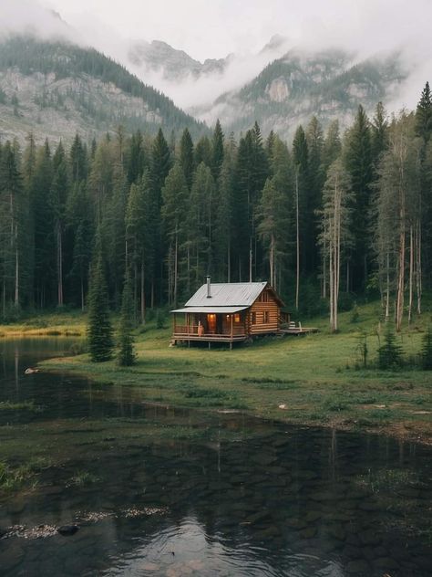 Forest Cottage Aesthetic, Tiny Log Cabins, Little Cabin In The Woods, Cabin Aesthetic, Forest Cottage, Small Log Cabin, Cabin Tiny House, Cabin In The Mountains, Forest Cabin