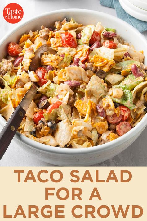 Taco Salad for a Large Crowd Salads For Large Crowds Parties, Taco Salad For A Crowd Potlucks, Taco Salad For A Large Crowd, Taco Salad For A Crowd, Crowd Recipes, Taco Dishes, Salad Italian, Taco Salad Recipe, Side Salads