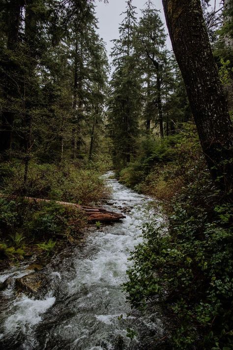 Paradis Sombre, Oregon Aesthetic, Arrow Photography, Astoria Oregon, Oregon Photography, Cannon Beach Oregon, Outdoor Aesthetic, Salem Oregon, Photography Beach