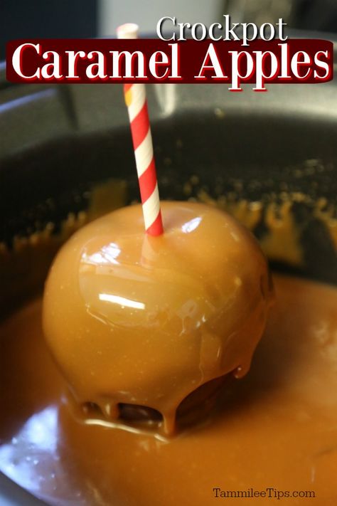 Apple Crockpot Recipes, Crock Pot Caramel, Carmel Apple Recipe, Crockpot Caramel, Caramel Apple Kits, Halloween Soup, Diy Caramel, Fall Desserts Apple, Taffy Apple