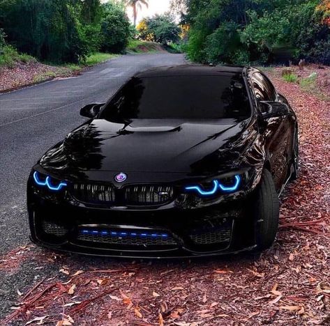 Bmw New Cars, Bmw F10 M5, Kereta Sport, E60 Bmw, Bmw Tuning, Luxury Cars Bmw, Tmax Yamaha, Carros Bmw, Roadster Car