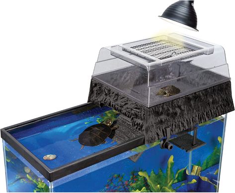 Gibe your tutrle a basking platform t oenjoy his heat lamps and chill :) Turtle Dock, Turtle Terrarium, Snake Terrarium, Happy Turtle, Dock Accessories, Clamp Lamp, Aquatic Turtles, Turtle Tank, 55 Gallon